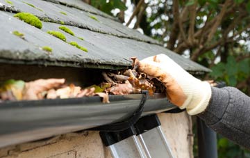 gutter cleaning Hale