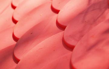 Hale plastic roof costs