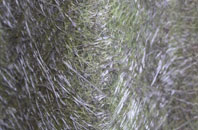 Hale fibreglass roof work